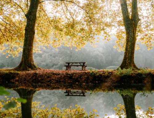 Autumn and the start of a new academic year